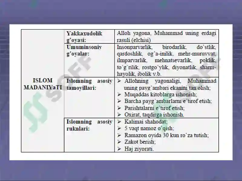 Preview 7