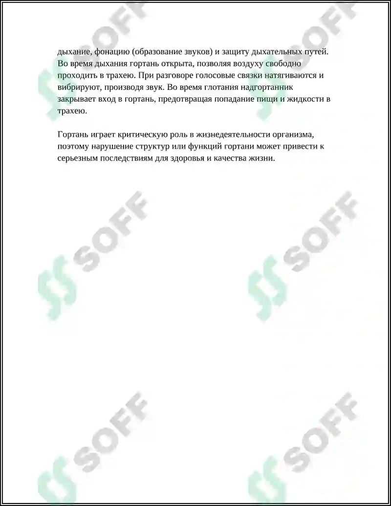 Preview 8