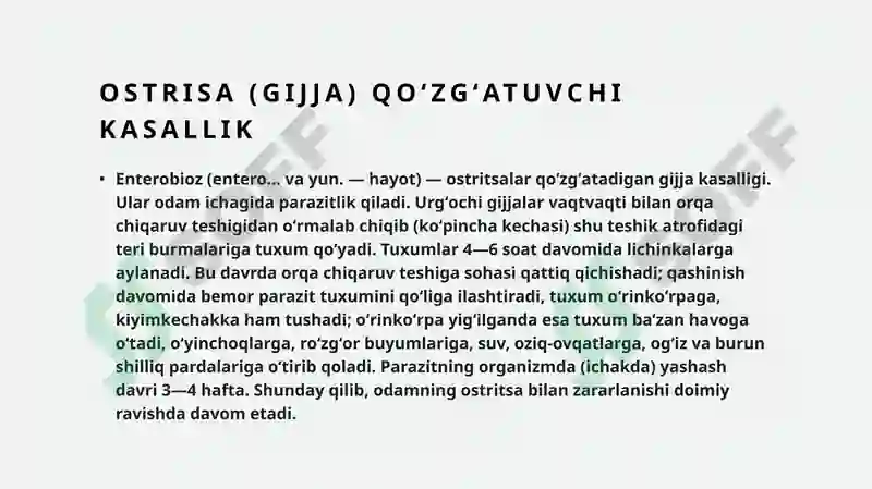 Preview 8