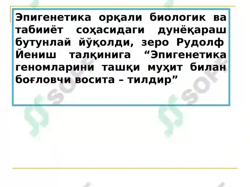 Preview 8
