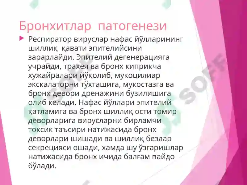Preview 8