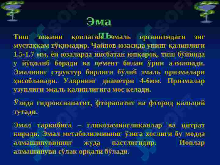 Preview 6