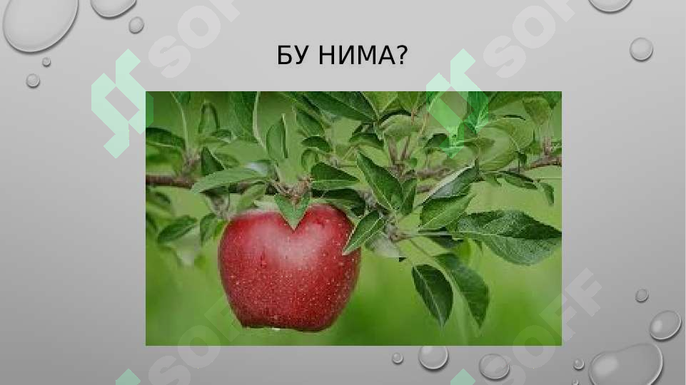 Product slide 6