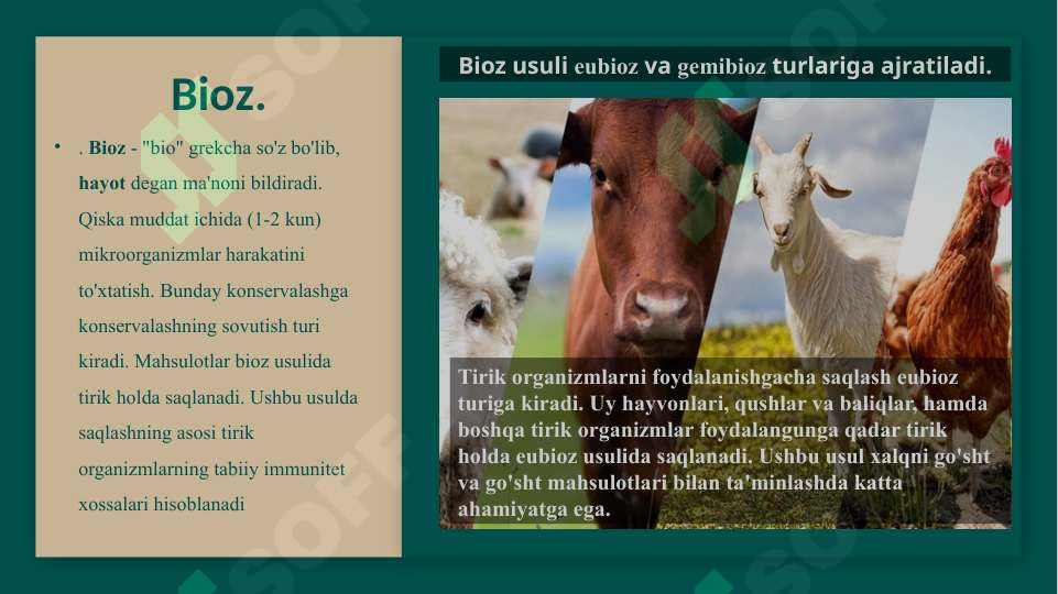 Product slide 6