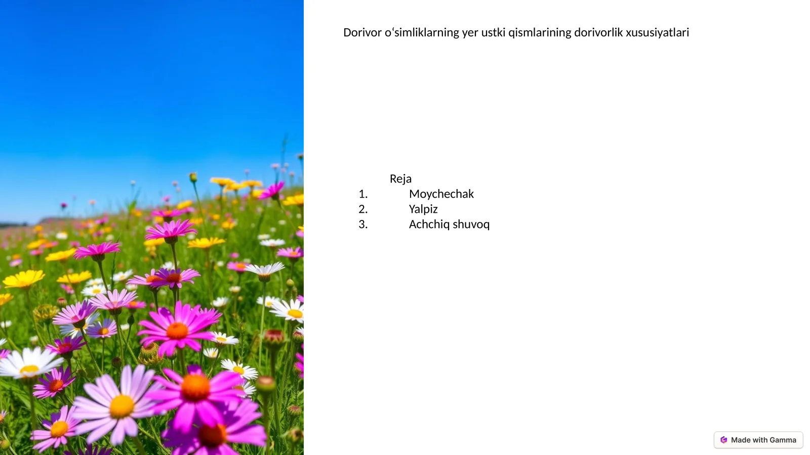Product slide 1