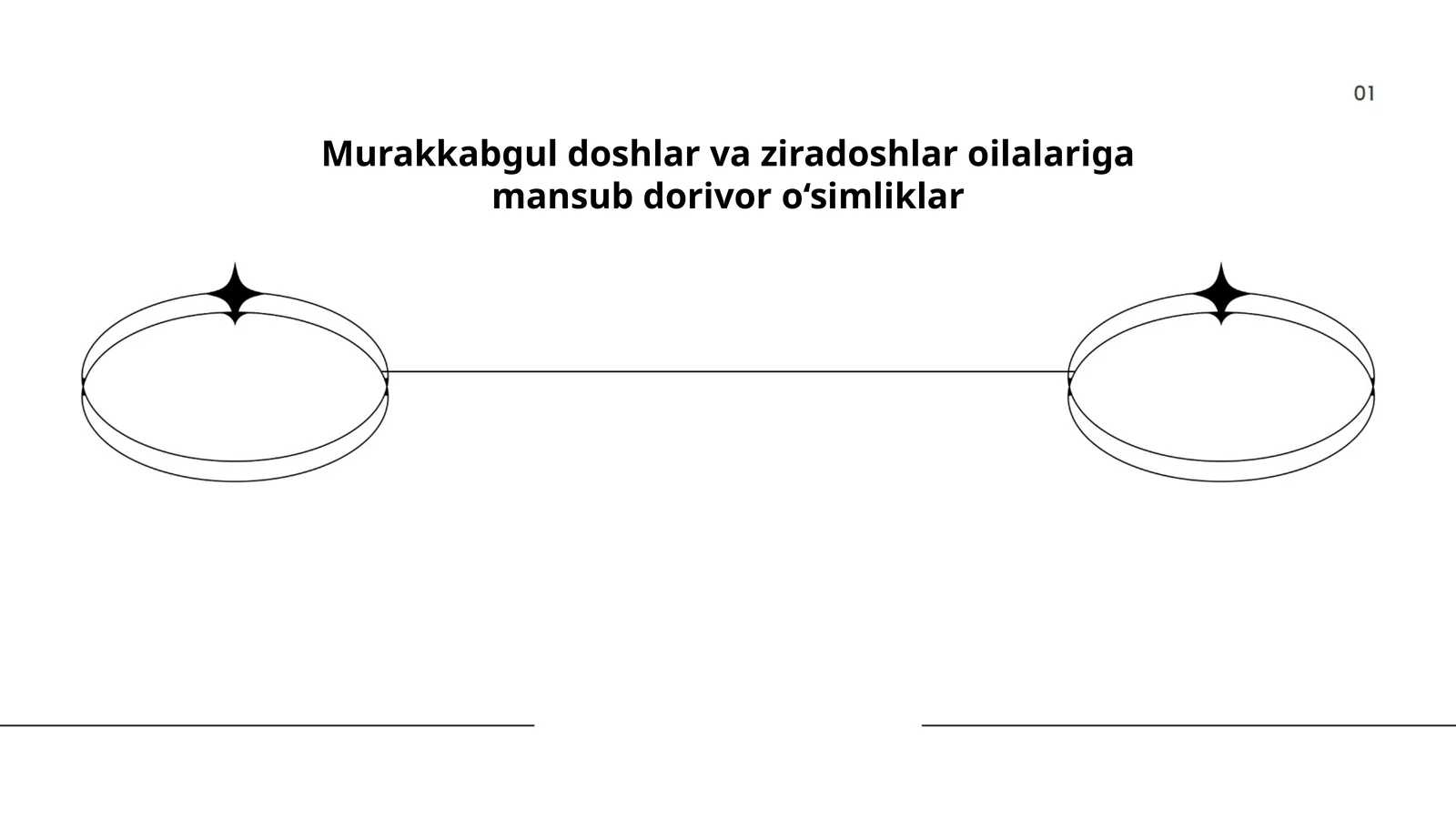Murakkabgul doshlar va ziradoshlar oilalariga mansub dorivor o‘simliklar