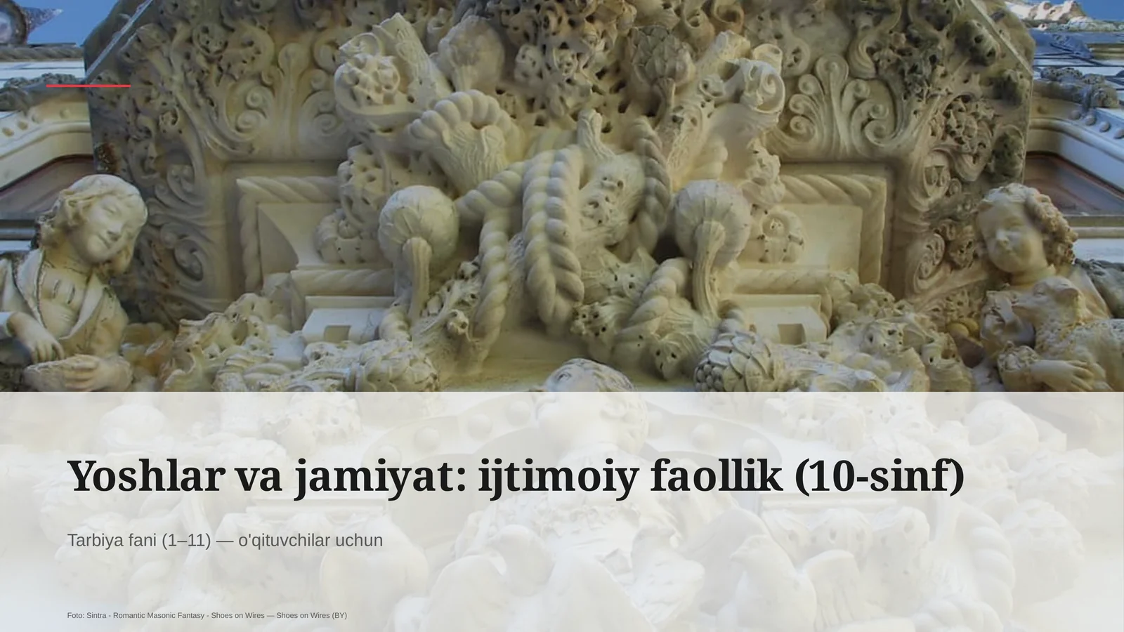 Yoshlar va jamiyat: ijtimoiy faollik (10-sinf)