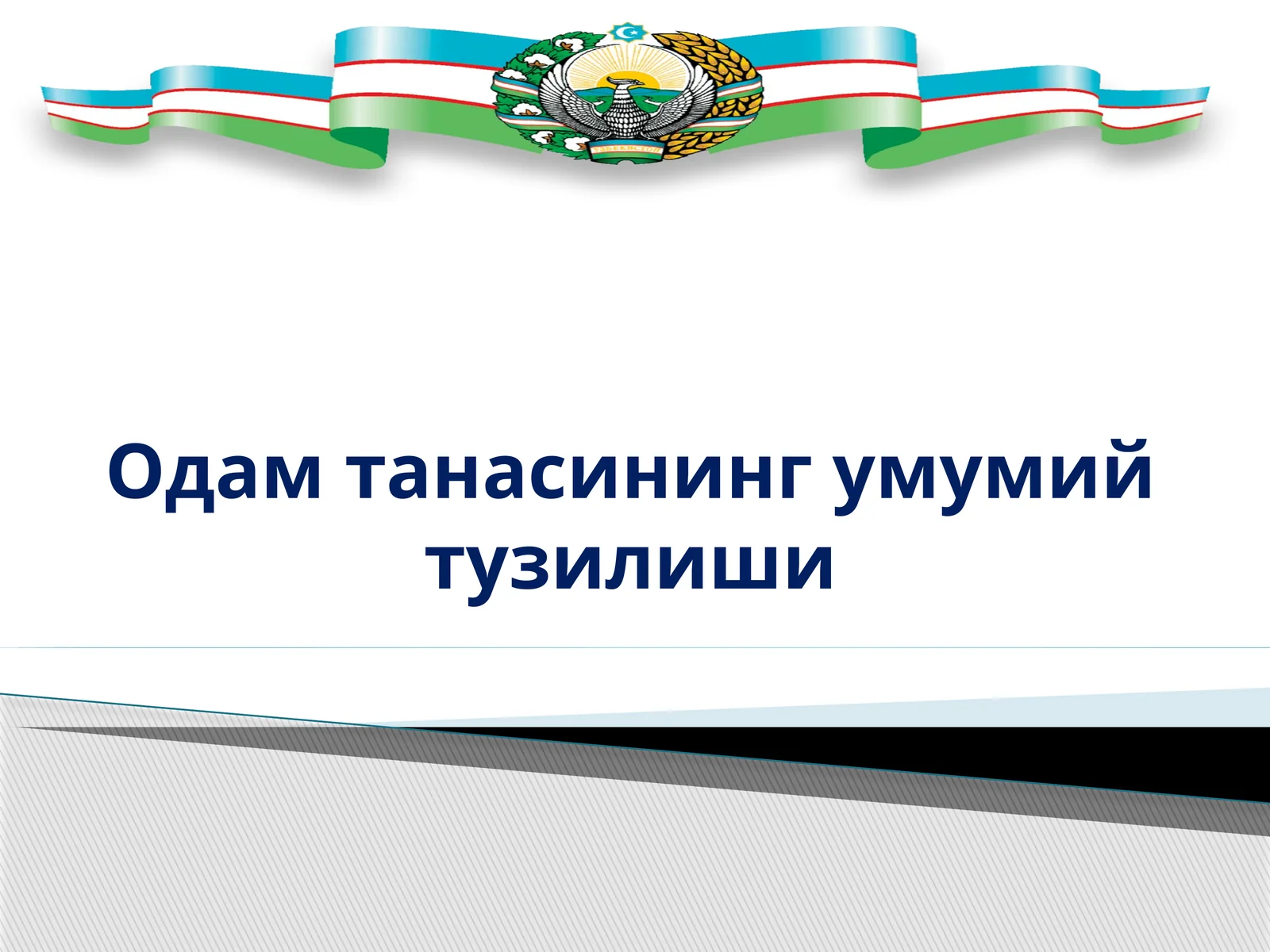 Одам танасининг умумий тузилиши