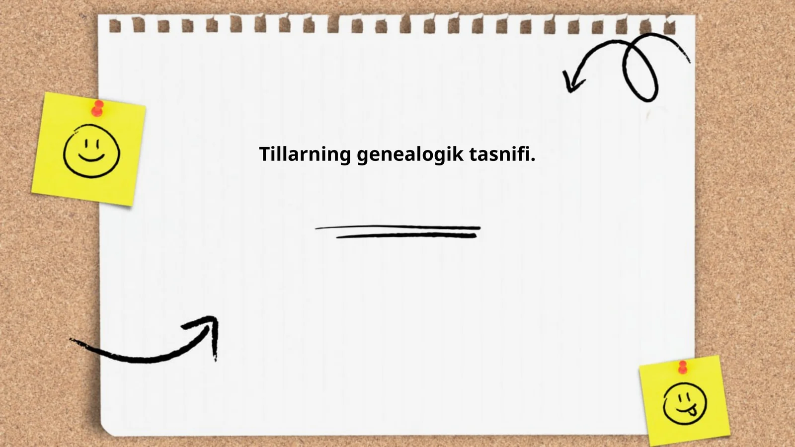 Tillarning genealogik tasnifi
