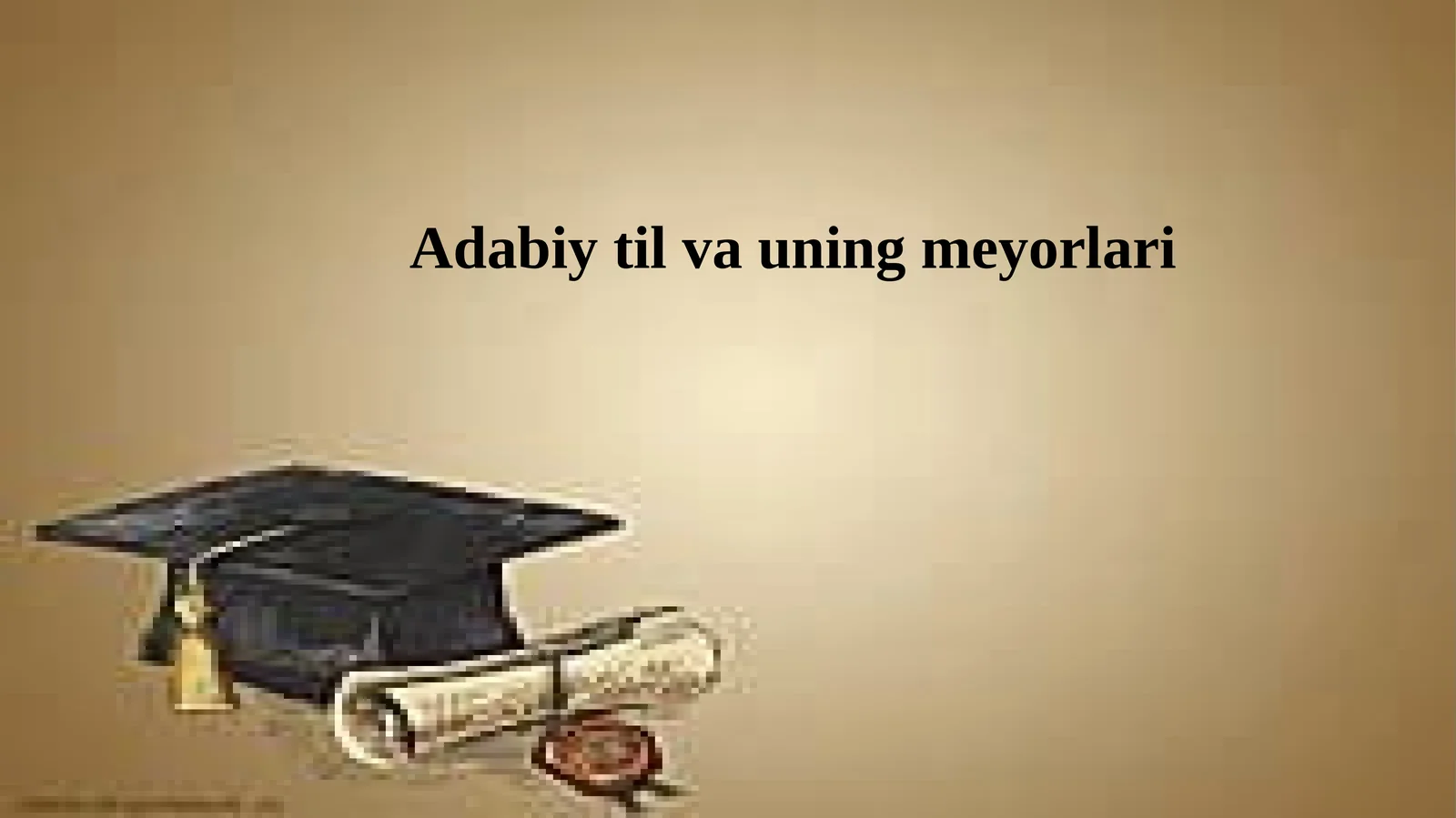 Adabiy til va uning meyorlari