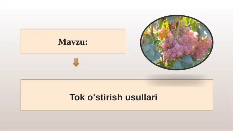 Tok oʻstirish usullari