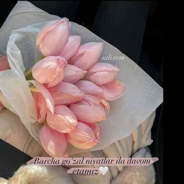Sotuvchi 199259