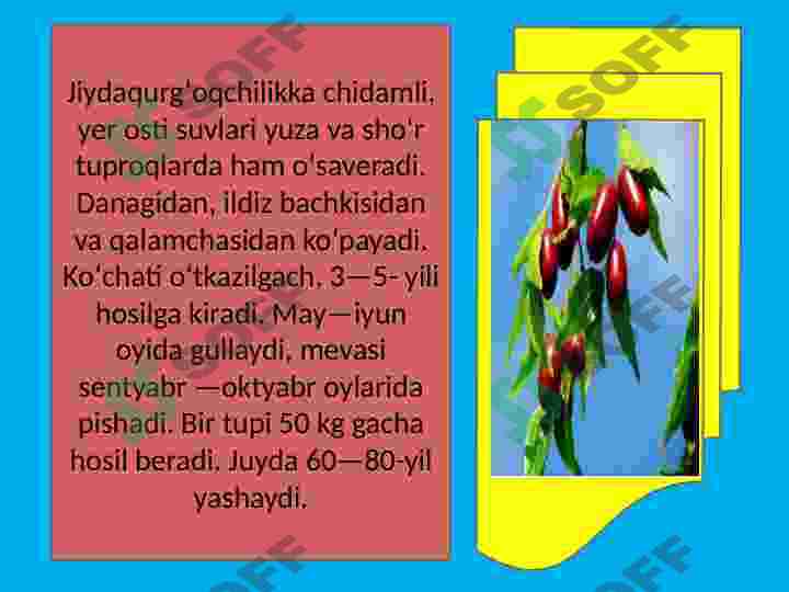 Product slide 6