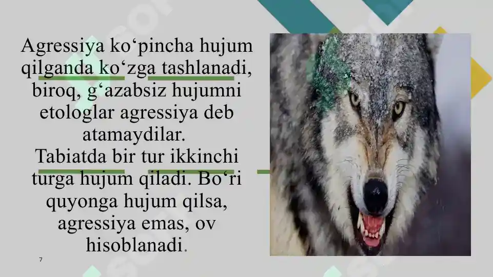 Product slide 7