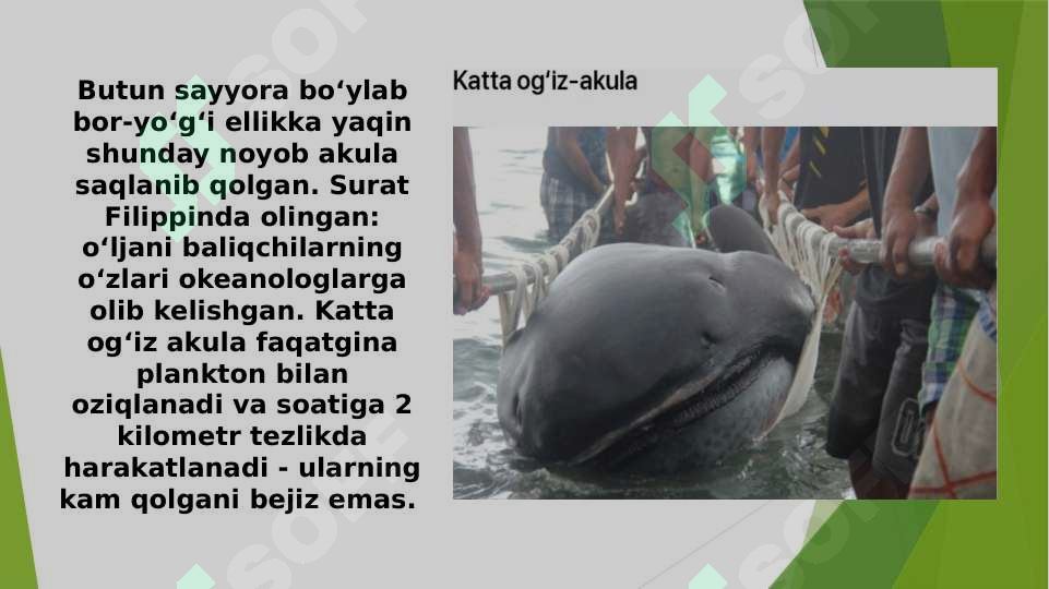 Product slide 8