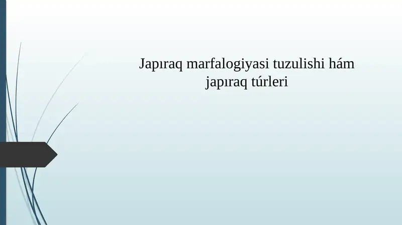 Product slide 1