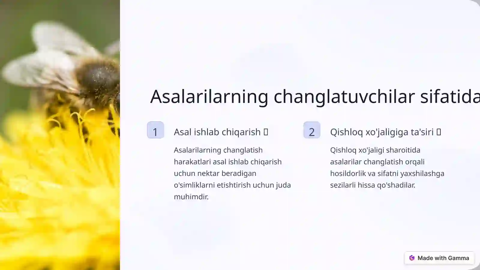 Product slide 4
