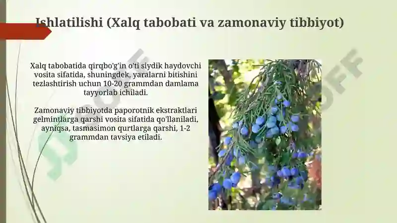 Product slide 8