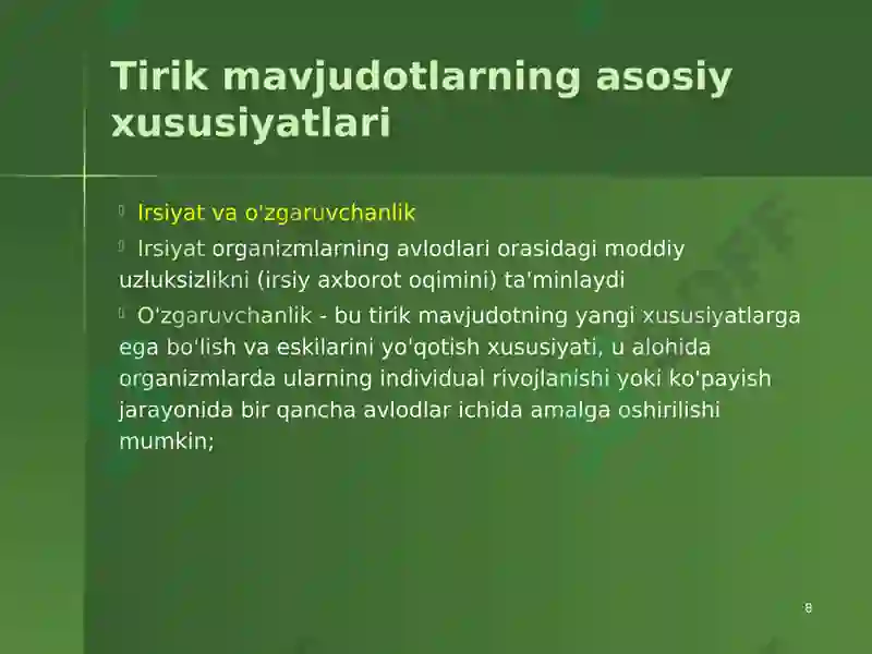 Product slide 8
