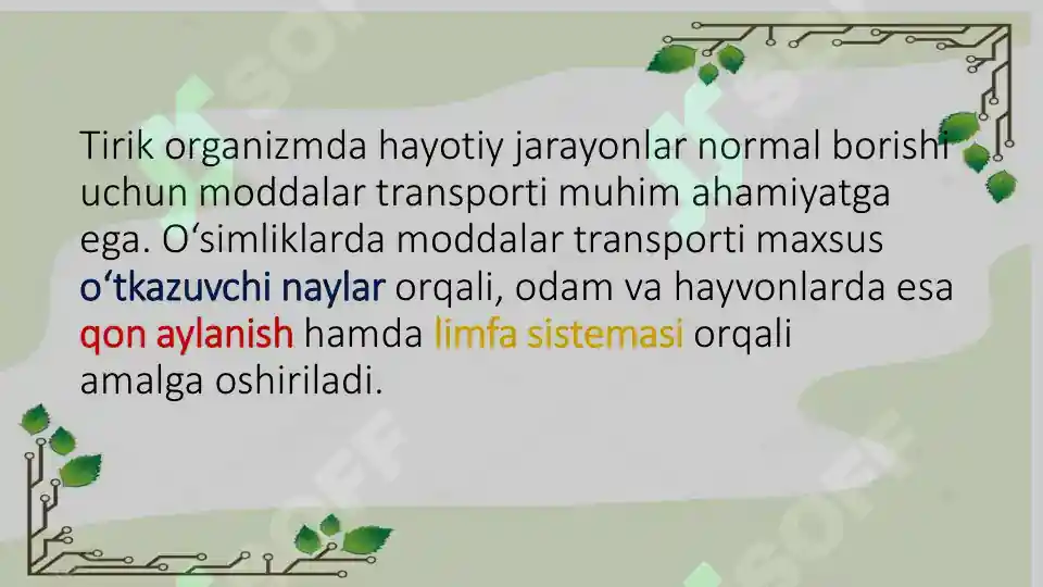 Product slide 5