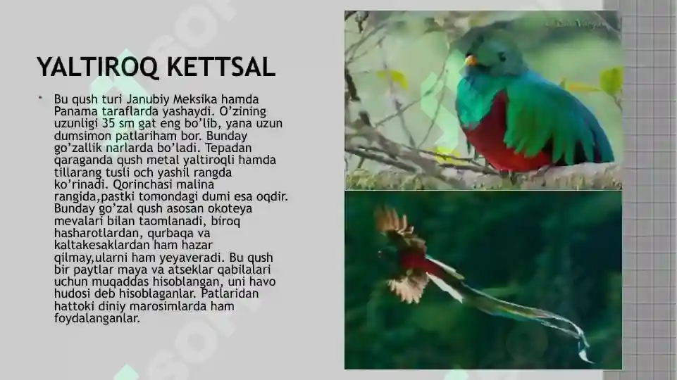 Product slide 5