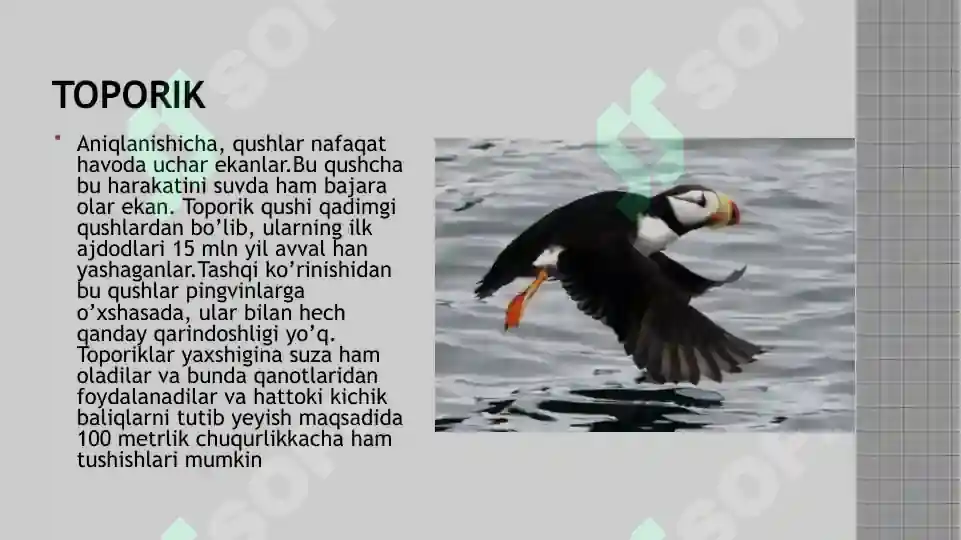 Product slide 7