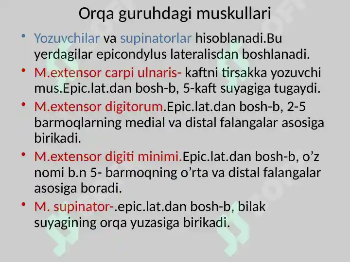 Product slide 8