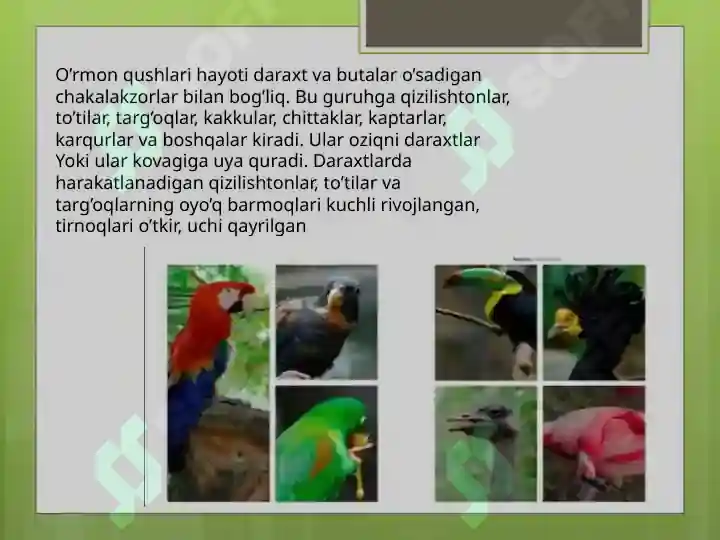 Product slide 7