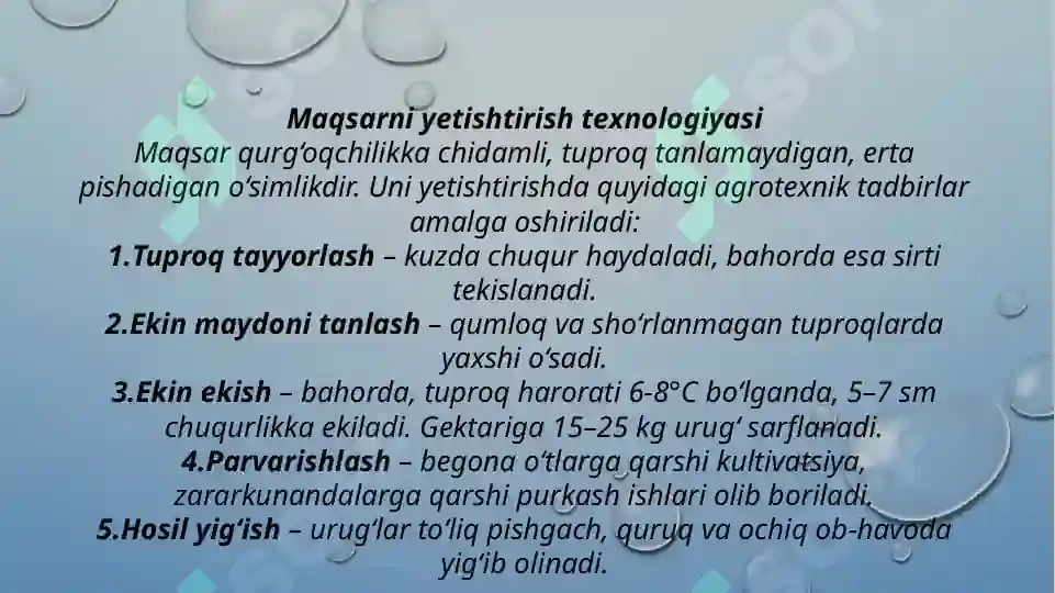 Product slide 5