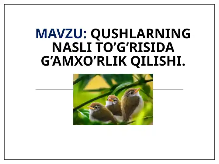 Product slide 1