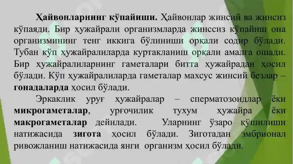 Product slide 5