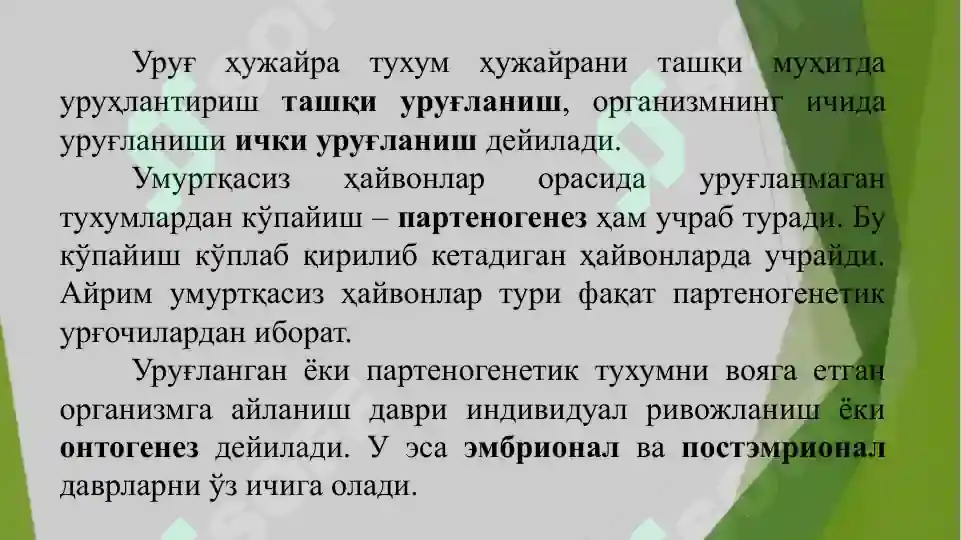 Product slide 7