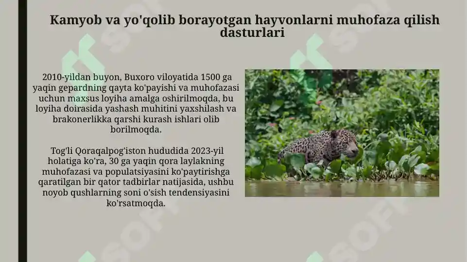 Product slide 6