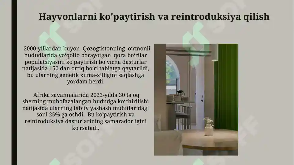 Product slide 7