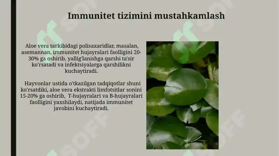 Product slide 6