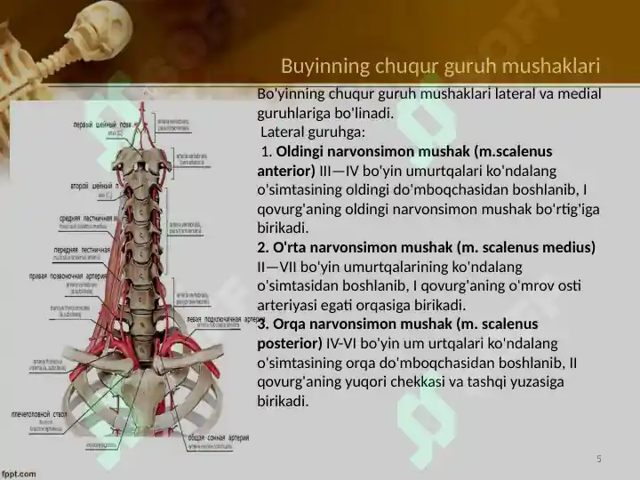 Product slide 5