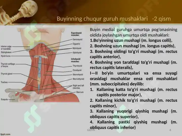 Product slide 6