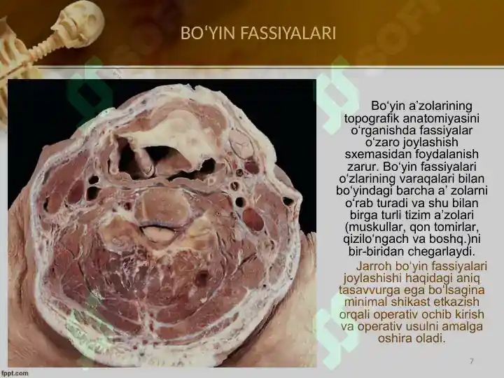 Product slide 7