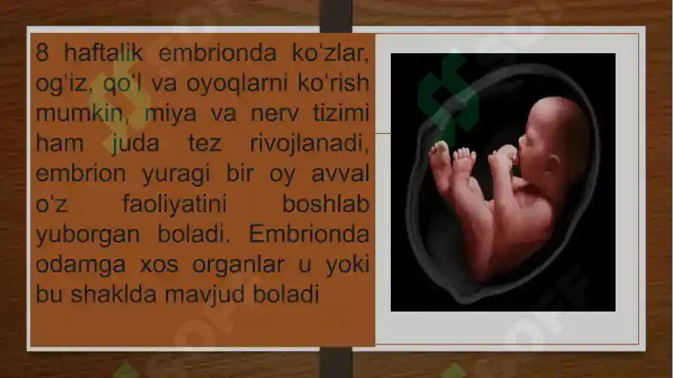 Product slide 6
