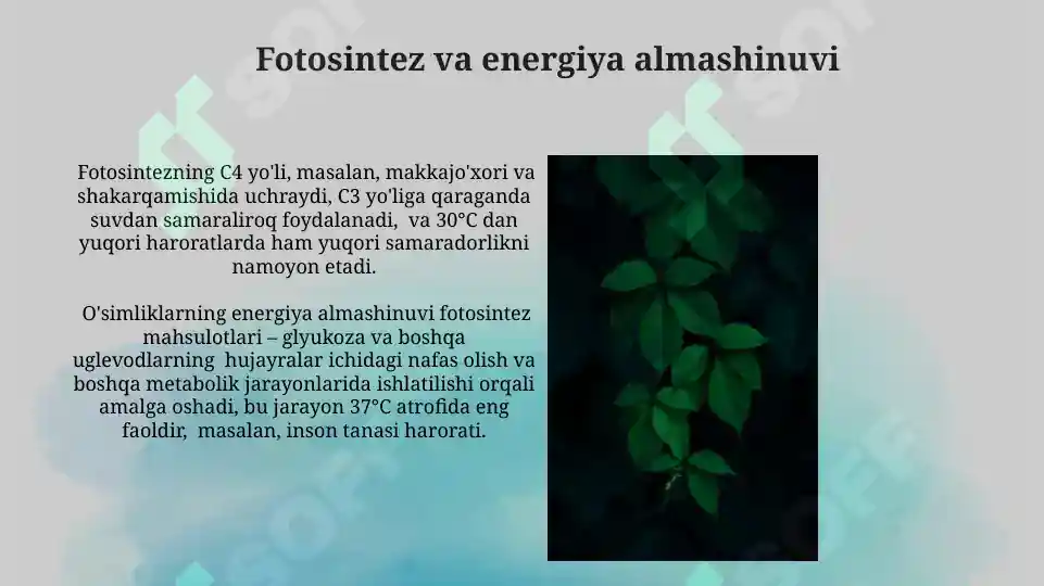 Product slide 6