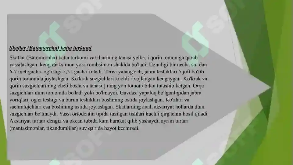 Product slide 6
