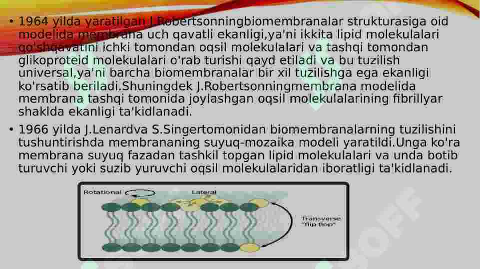 Product slide 5