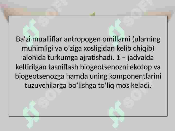 Product slide 6