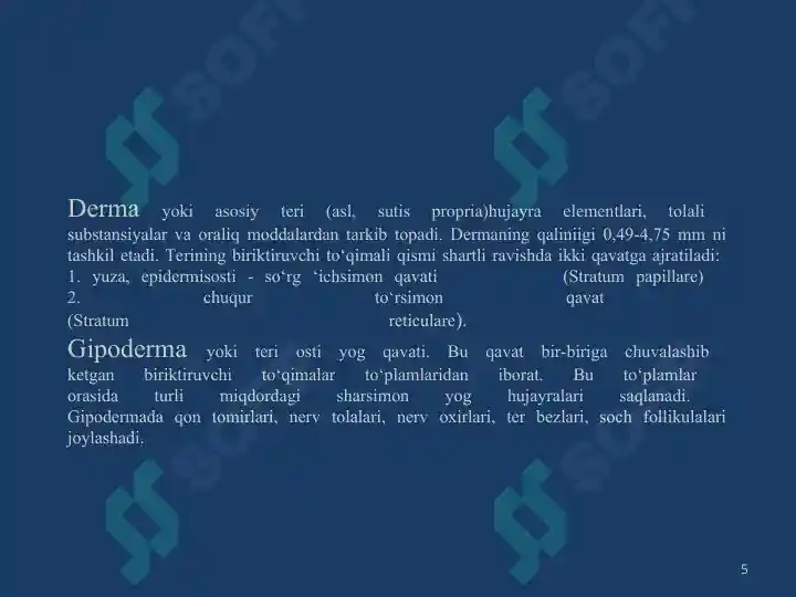 Product slide 5