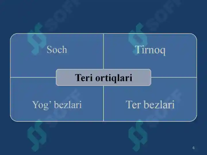 Product slide 6