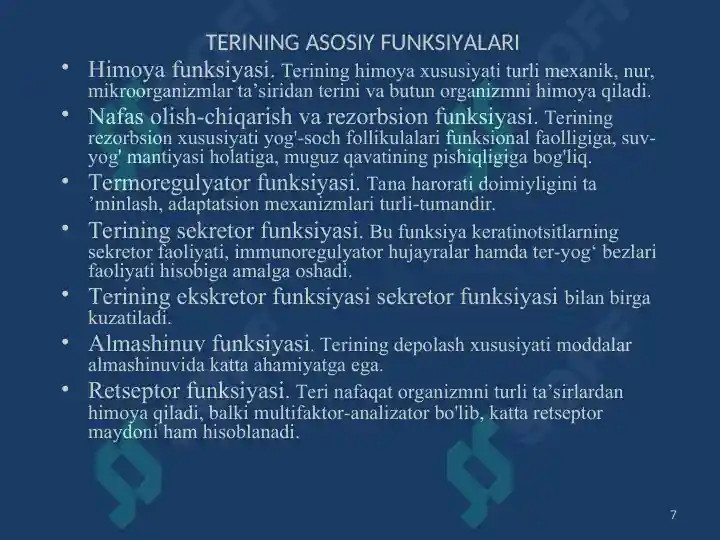 Product slide 7