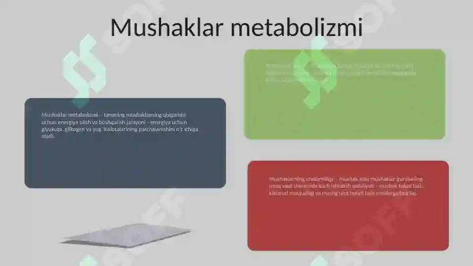 Product slide 6