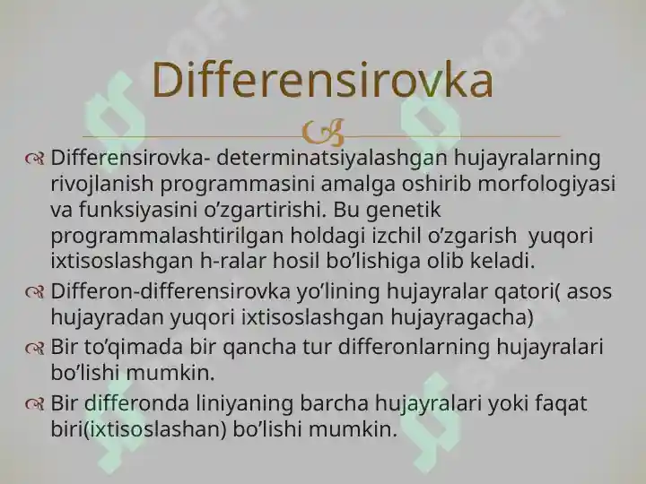 Product slide 7