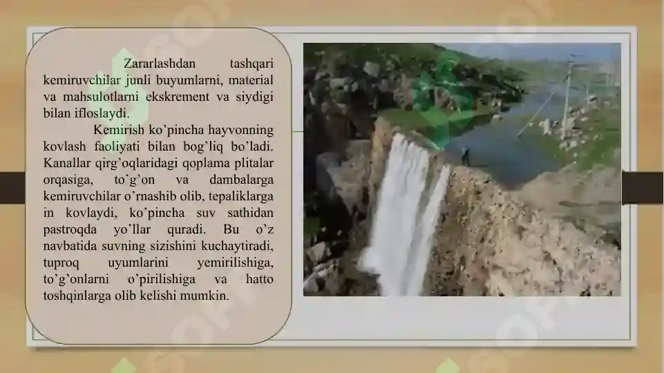 Product slide 8