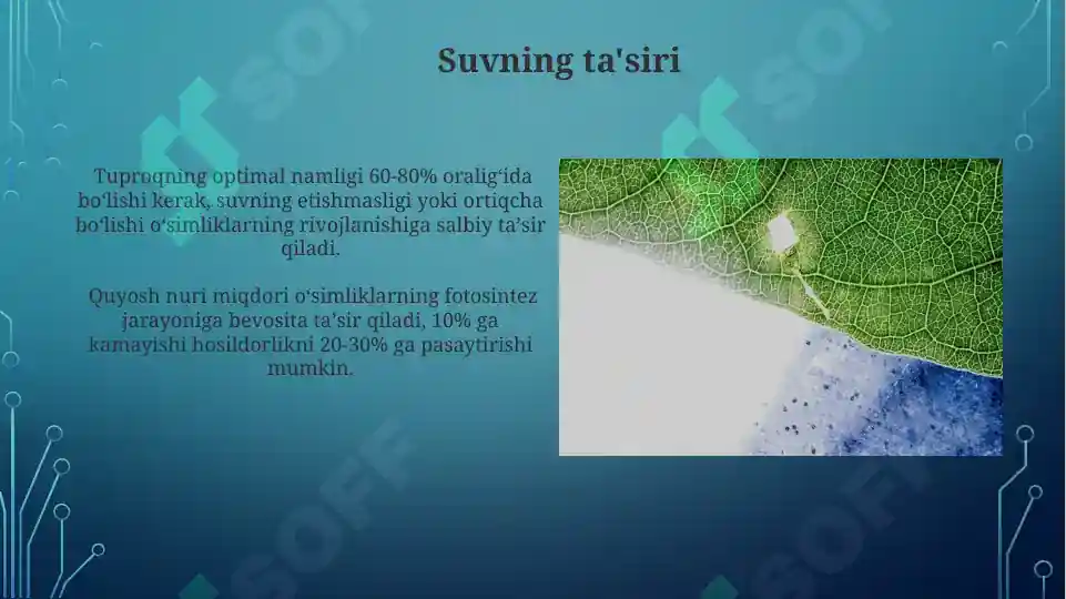 Product slide 6